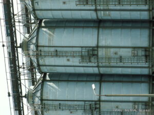 KONICA MINOLTA DIGITAL CAMERA