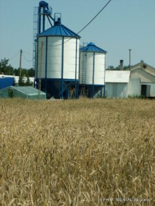 KONICA MINOLTA DIGITAL CAMERA